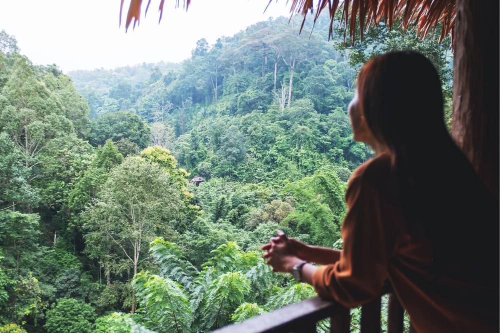 Woman gazing over lush rainforest from a wooden balcony, soaking in the healing energy of San Pedro Retreats in Costa Rica.