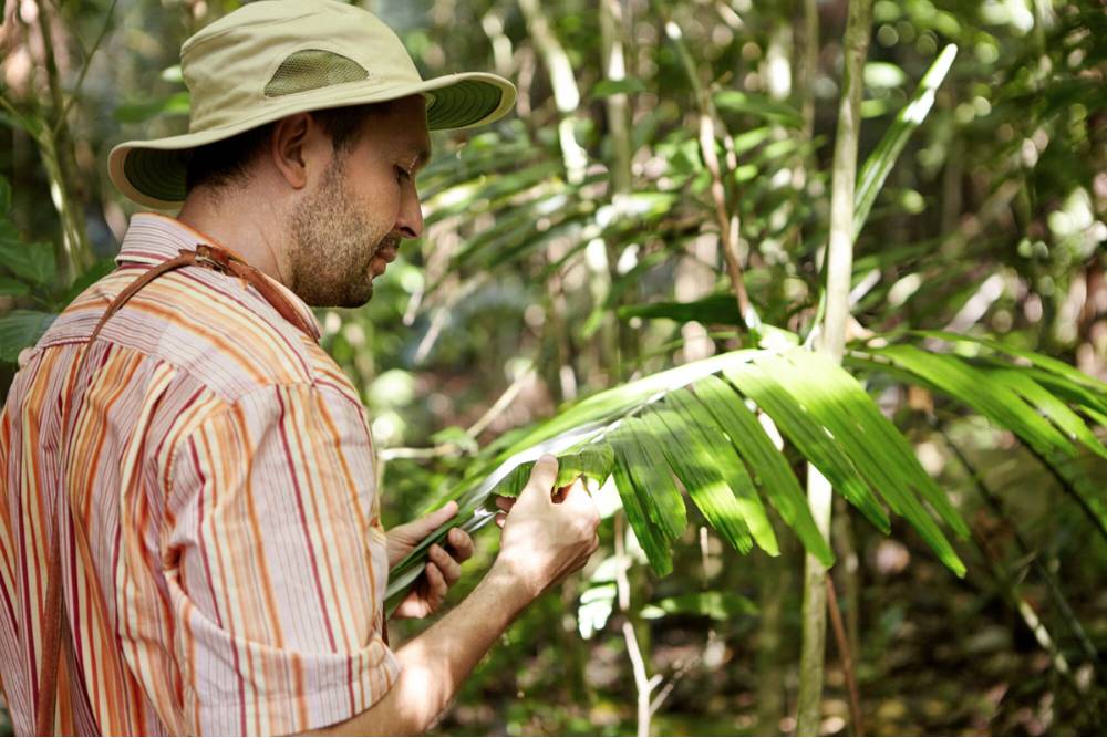 A man carefully inspects jungle foliage, representing the nature immersion and exploration often experienced during Psilocybin Retreats in Mexico.