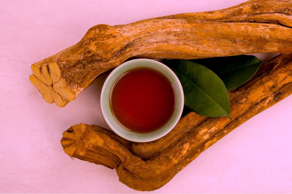 Ceremonial ayahuasca tea with vine and leaves on display, showcasing the plant used in spiritual healing and compared in iboga vs ayahuasca analysis.